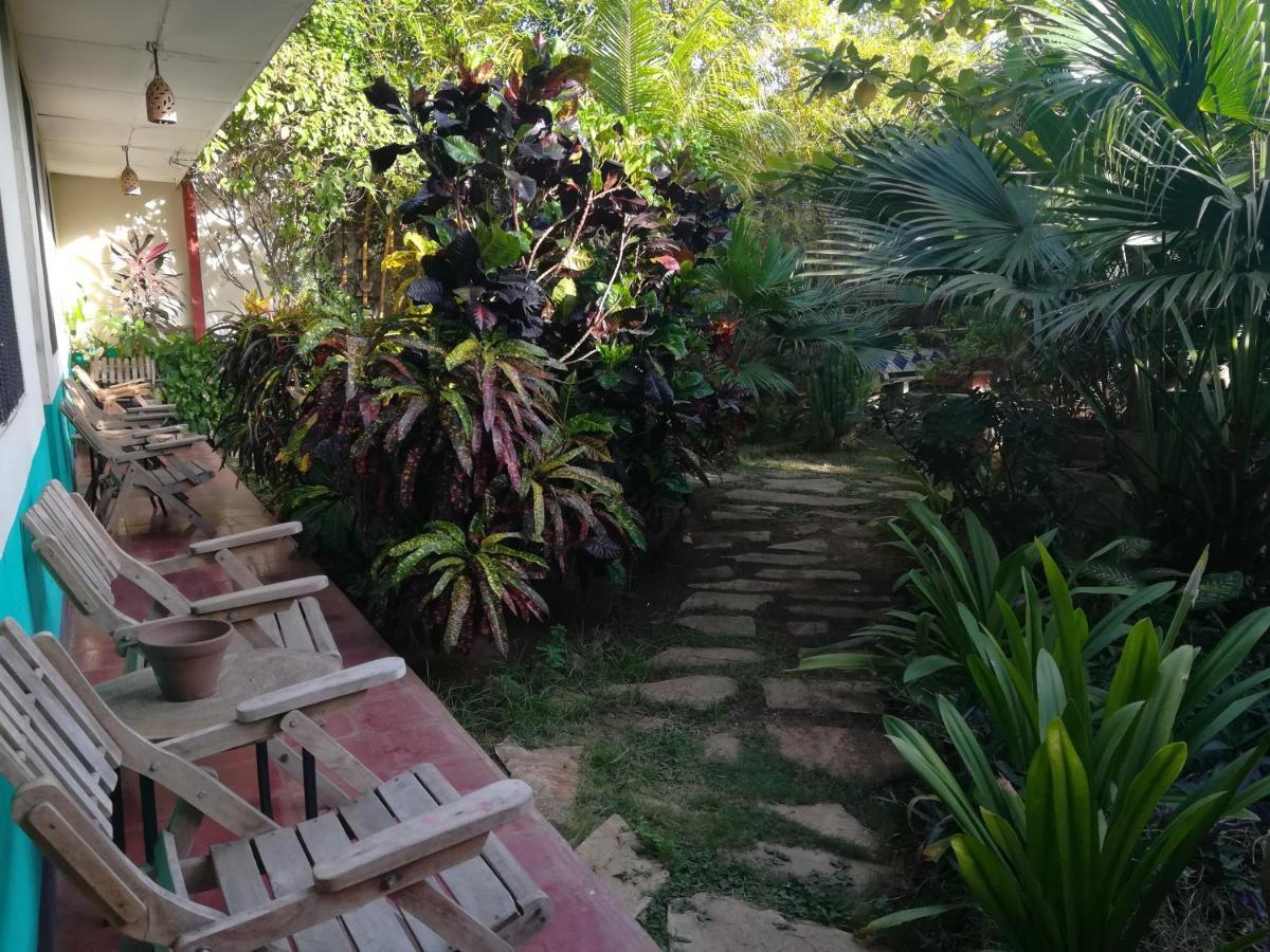 Hostal Harvest House León Zewnętrze zdjęcie
