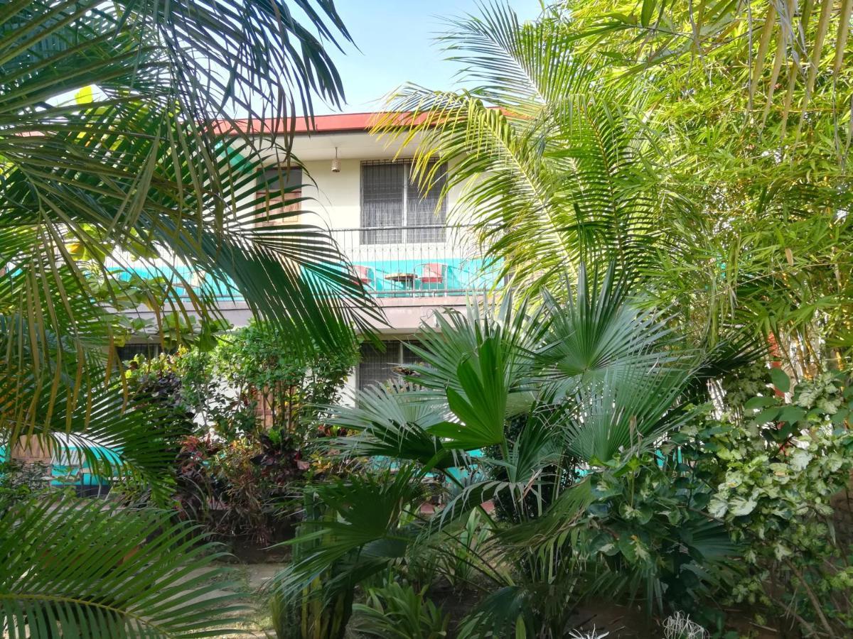 Hostal Harvest House León Zewnętrze zdjęcie