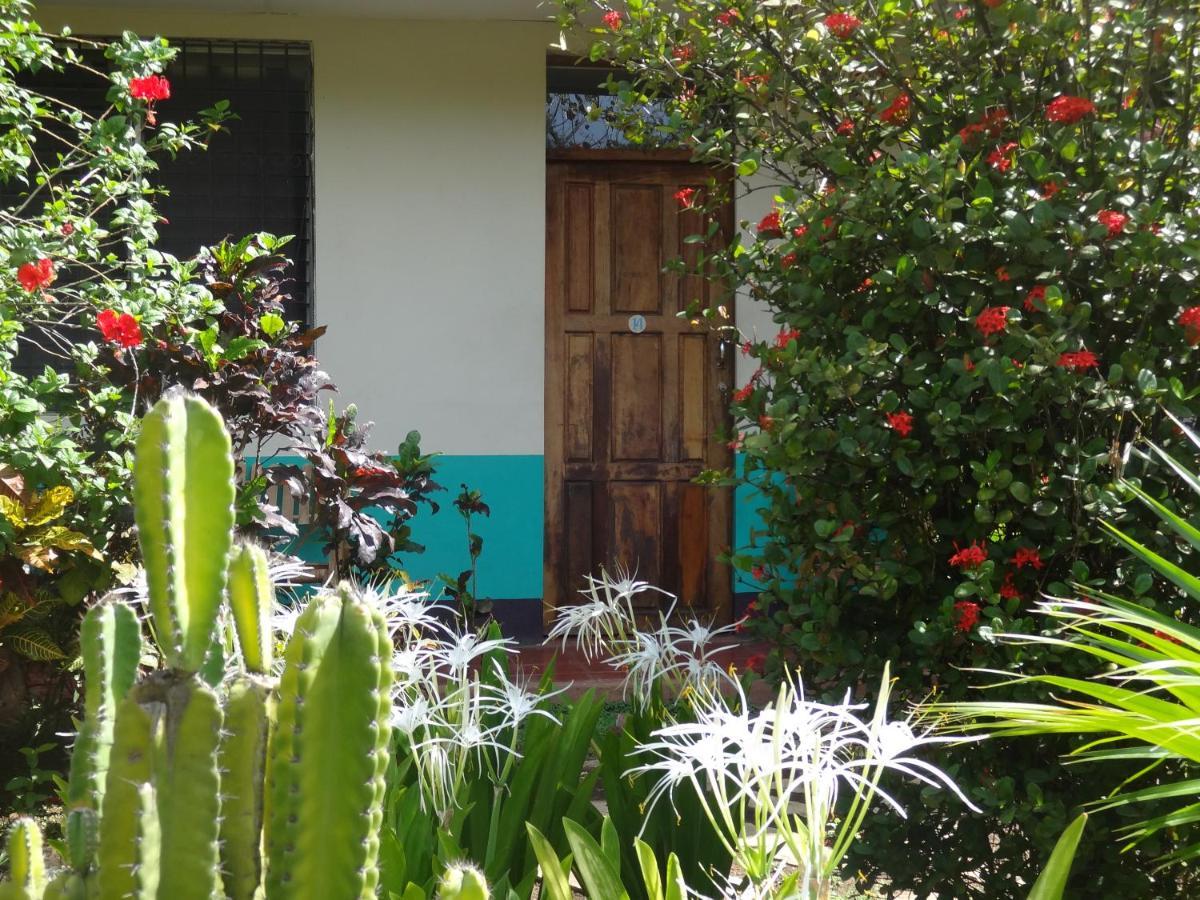 Hostal Harvest House León Zewnętrze zdjęcie