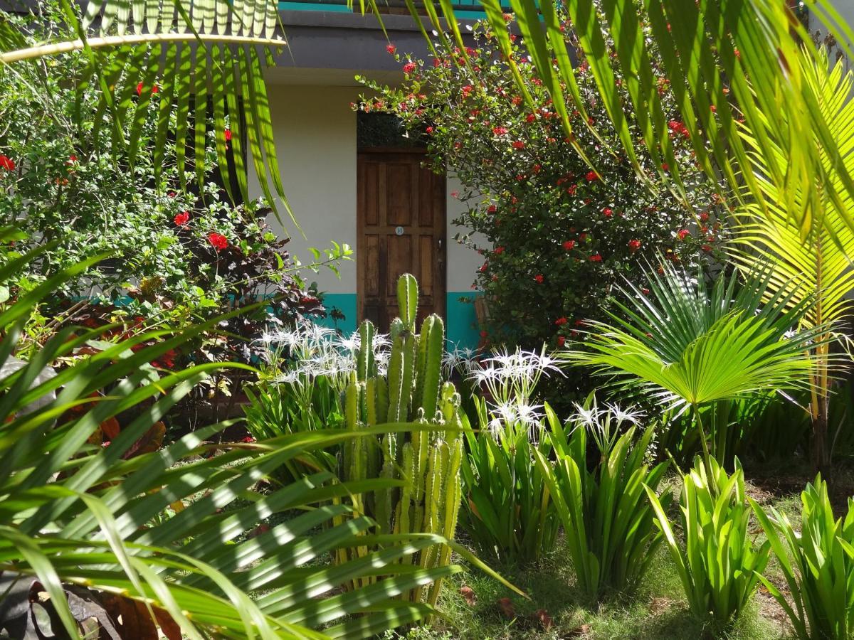 Hostal Harvest House León Zewnętrze zdjęcie